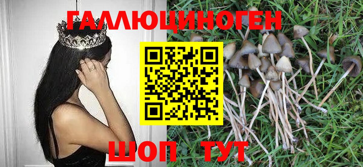 продажа наркотиков  Галлюциногенные грибы GOLDEN TEACHER  Вход с VPN  Петровск  Галлюциногенные грибы Cubensis 
