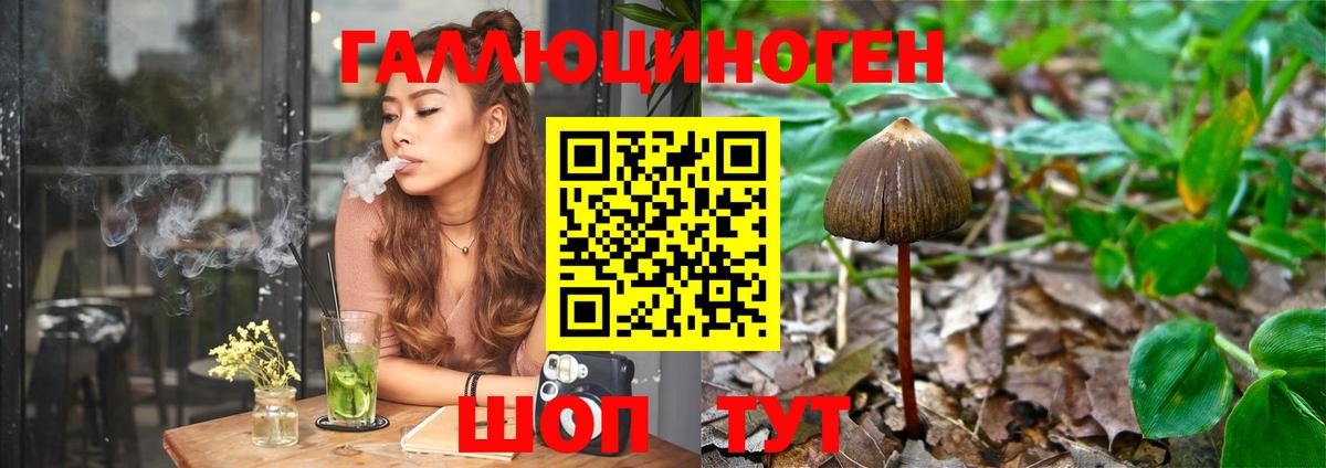 Галлюциногенные грибы MAGIC MUSHROOMS Петровск